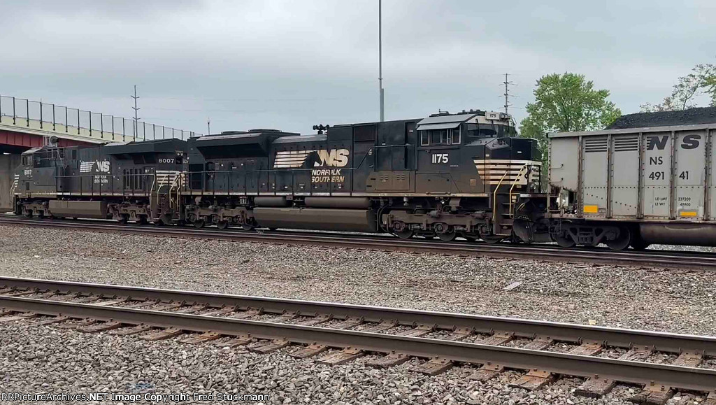 NS 1175